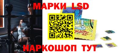 винт Можга