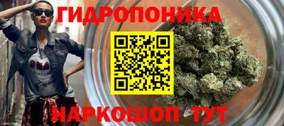 СК Можайск