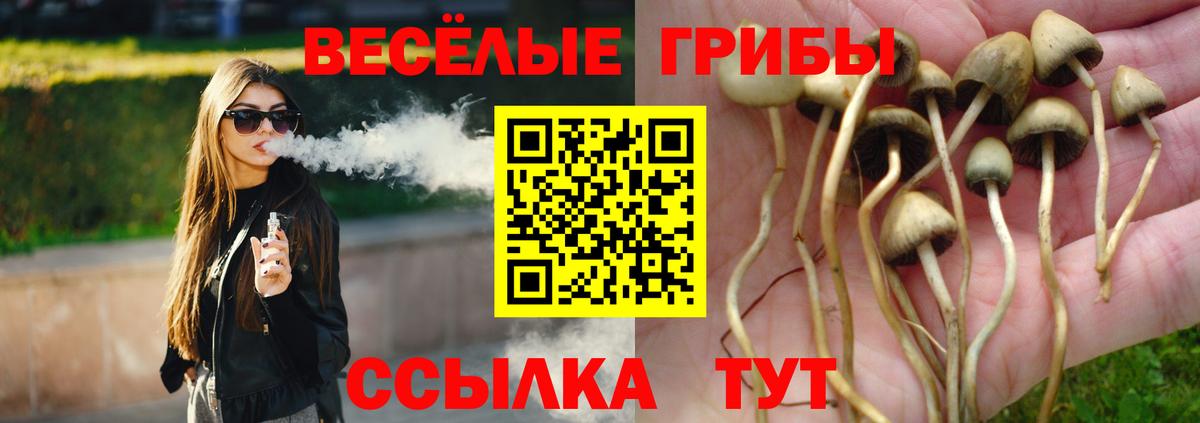Псилоцибиновые грибы ЛСД  Галлюциногенные грибы ЛСД  Удомля  Вход с VPN 